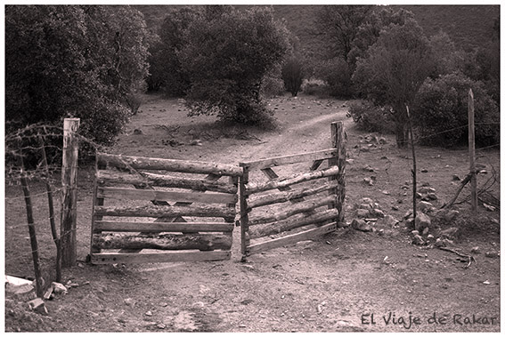 013-copia-copia-copia