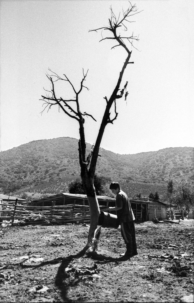 El Boco, Chile, 2002.